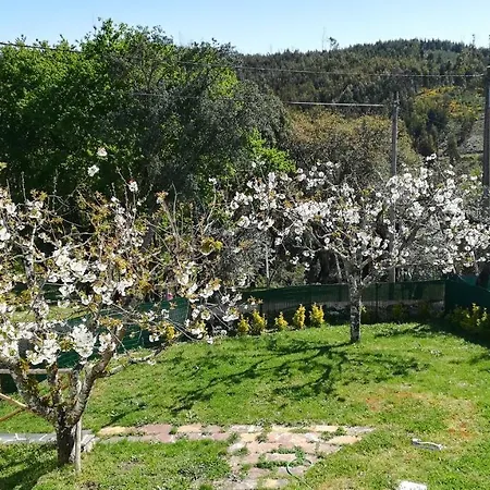 Casa de Férias A Quinta Da Colina